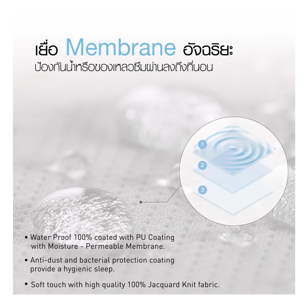 ปลอกหมอนหนุนกันเปื้อน LOTUS HYGIENE
