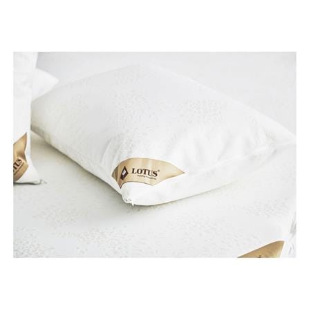 ปลอกหมอนหนุนกันเปื้อน LOTUS HYGIENE_5