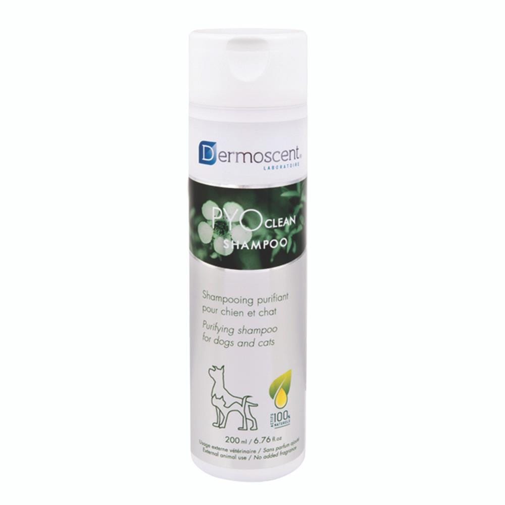 แชมพูสำหรับสัตว์เลี้ยง DERMOSCENT PYO CLEAN 200 มล.