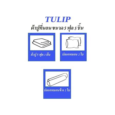 ชุดผ้าปูที่นอน 5 ฟุต 5 ชิ้น TULIP IN THE MOMENT 60050-DL403_4