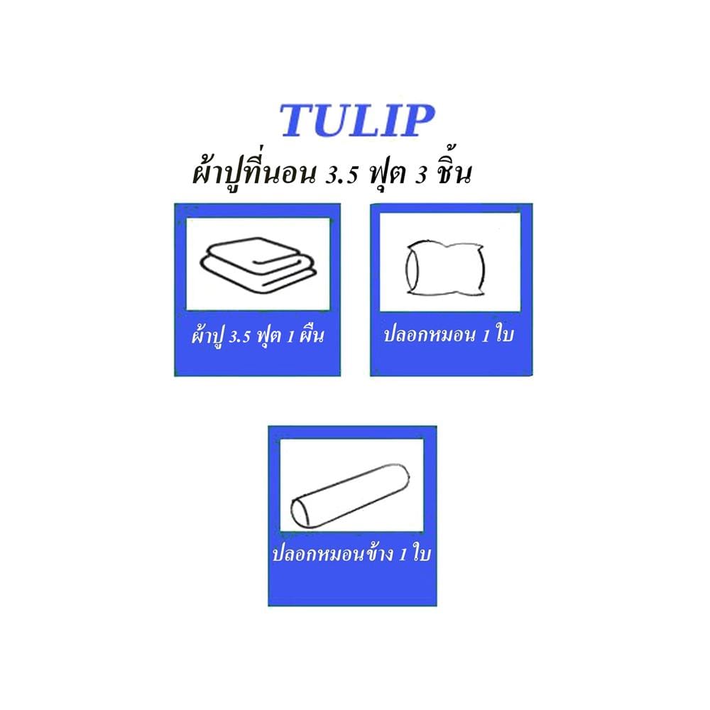 ชุดผ้าปูที่นอน 3.5 ฟุต 3 ชิ้น TULIP IN THE MOMENT 60051-DL409
