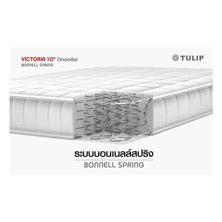 ที่นอนสปริง 6 ฟุต TULIP รุ่น VICTORIA_5