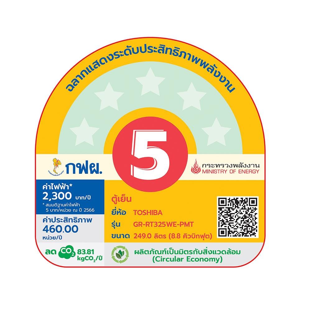 ตู้เย็น 2 ประตู TOSHIBA GR-RT325WE-PMT(06) 8.8 คิว สีเทาเข้ม อินเวอร์เตอร์