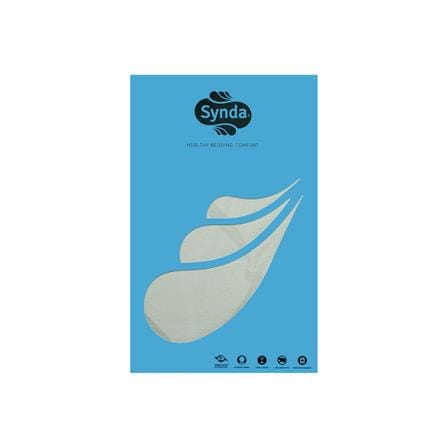 ปลอกหมอนข้าง SYNDA VASTNESSA สี CREAM_2