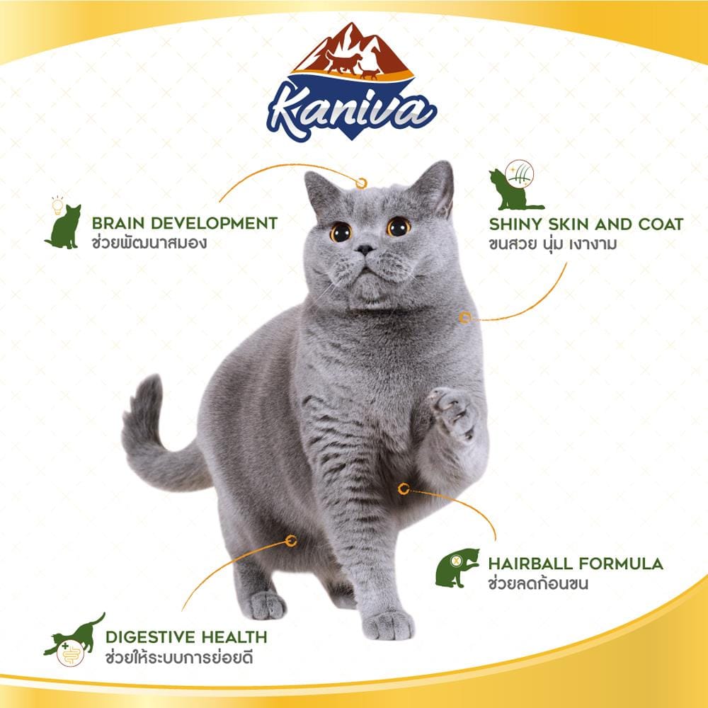อาหารแมว KANIVA INDOOR 1.3 กก.