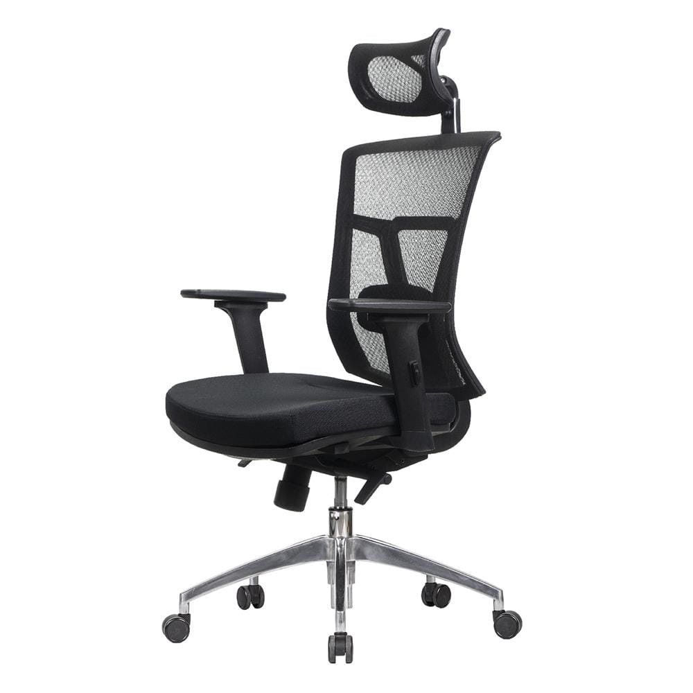 เก้าอี้เพื่อสุขภาพ WORKSCAPE VERONA EM-207E สีดำ