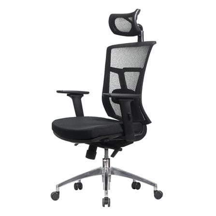 เก้าอี้เพื่อสุขภาพ WORKSCAPE VERONA EM-207E สีดำ