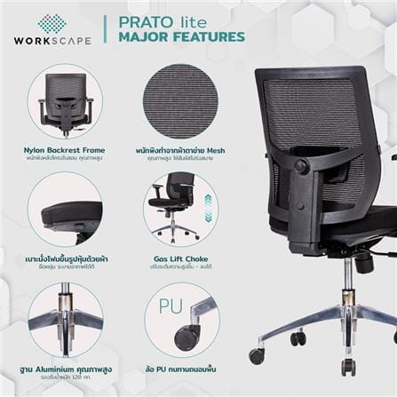 D.I.Y. เก้าอี้สุขภาพ WORKSCAPE PRATO Lite EM-209D สีดำ_8