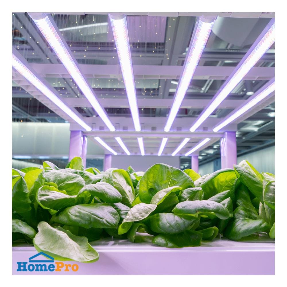 ชุดรางนีออน LED SHINING T5 PGL 9 วัตต์ สีม่วง