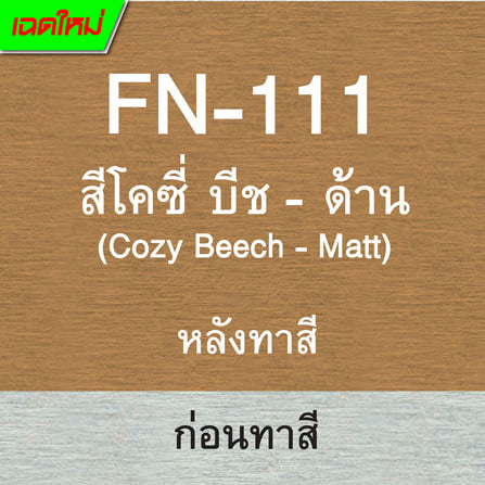 สีทาไม้ฝาไฟเบอร์ซีเมนต์ ชนิดด้าน WOODTECT FN-111 สี COZY BEACH 1 แกลลอน_4