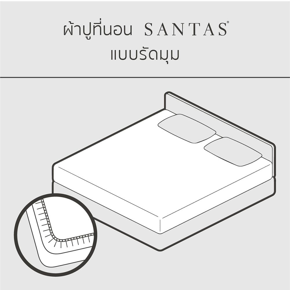 ชุดผ้าปูที่นอน 6 ฟุต 5 ชิ้น SANTAS BUBBLY CR