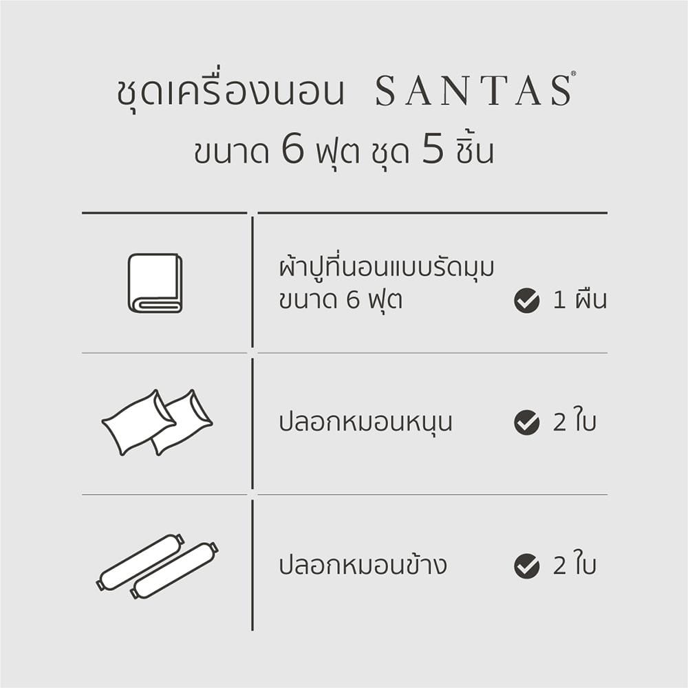 ชุดผ้าปูที่นอน 6 ฟุต 5 ชิ้น SANTAS BUBBLY CR