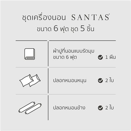 ชุดผ้าปูที่นอน 6 ฟุต 5 ชิ้น SANTAS BUBBLY CR_6