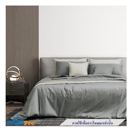 ปลอกหมอนหนุน PERICO REGAL SOLID RS084_3