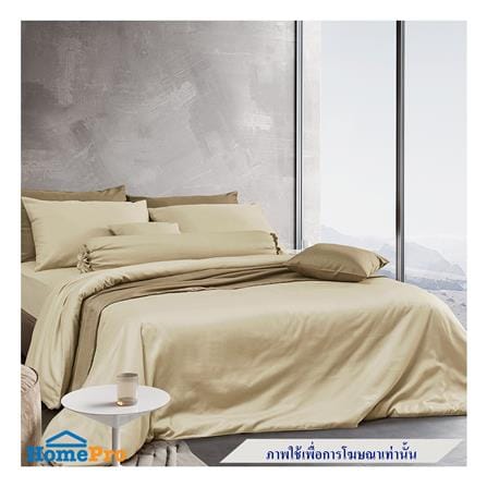 ปลอกหมอนข้าง PERICO REGAL SOLID RS081_3