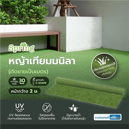 หญ้าเทียมมนิลา ความสูงหญ้า 30 มม. หน้ากว้าง 2 ม. SPRING (ตัดขายเป็นเมตร)_5