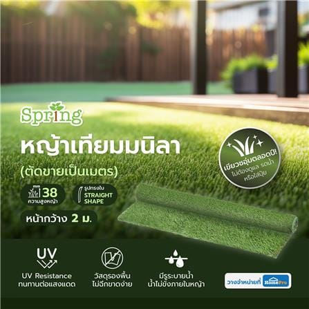 หญ้าเทียมมนิลา ความสูงหญ้า 38 มม. หน้ากว้าง 2 ม. SPRING (ตัดขายเป็นเมตร)_5