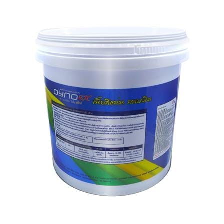 สีรองพื้นปูนใหม่ DYNO EX P-700 9 ลิตร_1