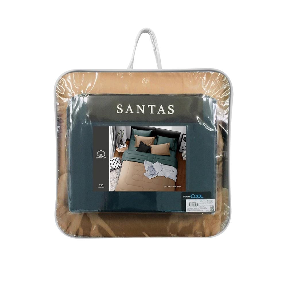 ชุดผ้าปูที่นอน 5 ฟุต 6 ชิ้น SANTAS PRODIGY BI