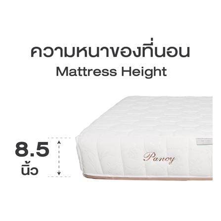 ที่นอนยางพาราอัด 3.5 ฟุต SERA GRANDE รุ่น PANCY_8