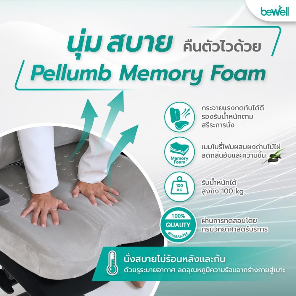 เบาะรองนั่ง BEWELL EC04 สีเทา