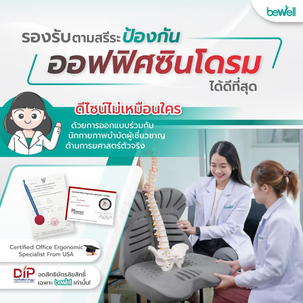 เบาะรองหลัง BEWELL EC-03 สีเทา
