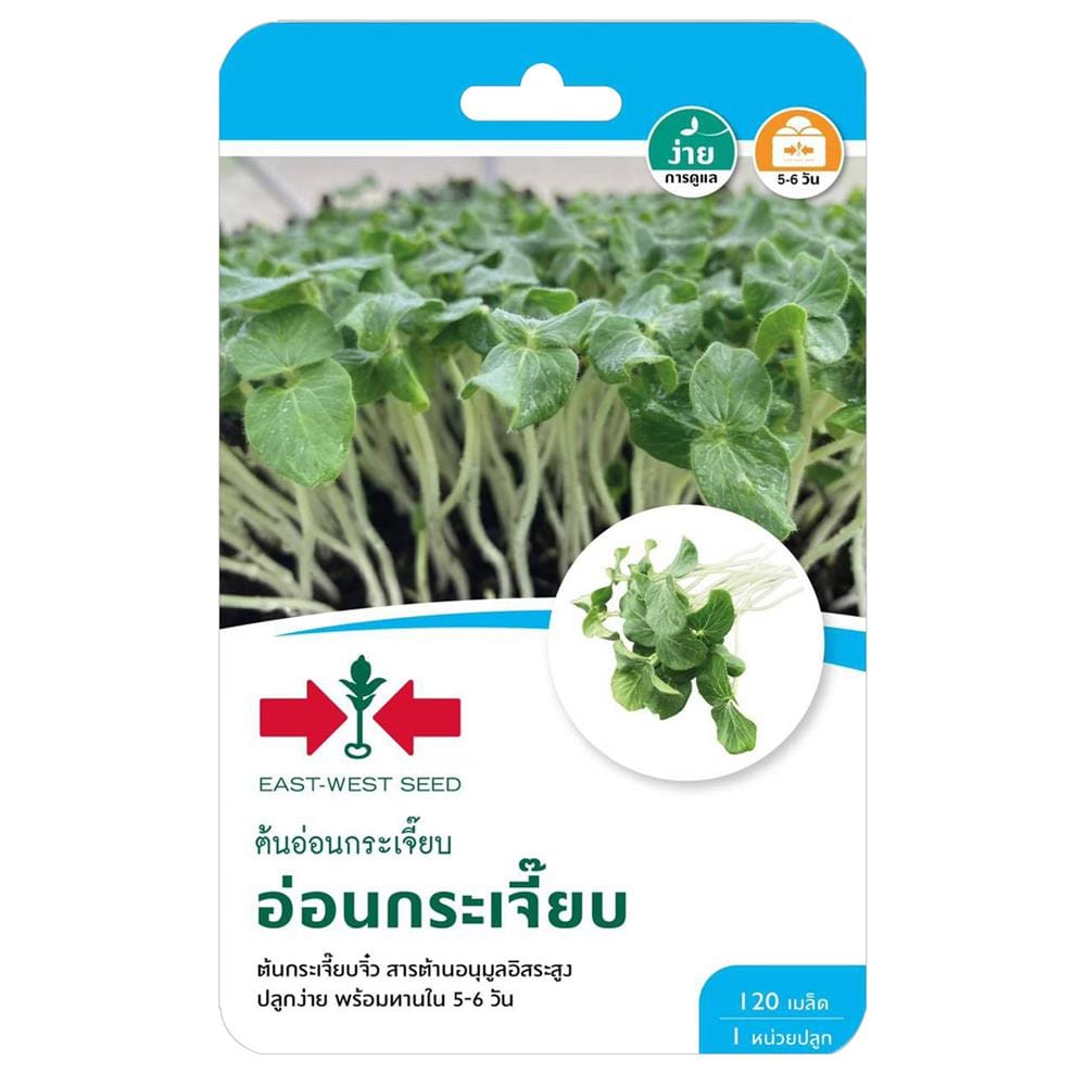 เมล็ดพันธุ์ต้นอ่อนกระเจี๊ยบ ศรแดง