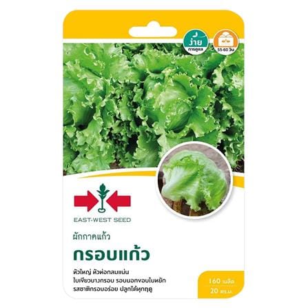 เมล็ดพันธุ์ผักกาดแก้ว กรอบแก้ว ศรแดง_0