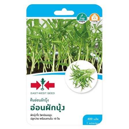 เมล็ดพันธุ์ต้นอ่อนผักบุ้ง ศรแดง