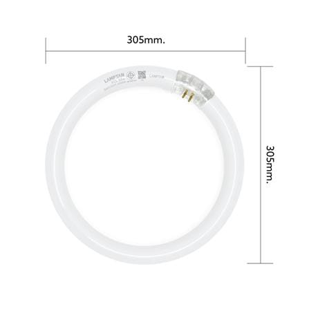 หลอดนีออนกลม LAMPTAN 32 วัตต์ DAYLIGHT G10Q_4