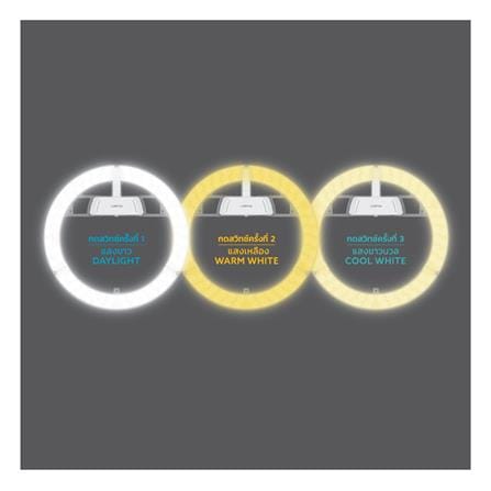 หลอด LED LAMPTAN LENS MODULE 36 วัตต์ DAYLIGHT/ COOL WHITE /WARM WHITE_2