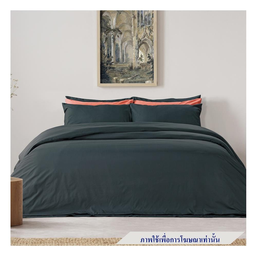 ชุดผ้าปูที่นอน 6 ฟุต 5 ชิ้น SATIN PLUS SOLID PS019