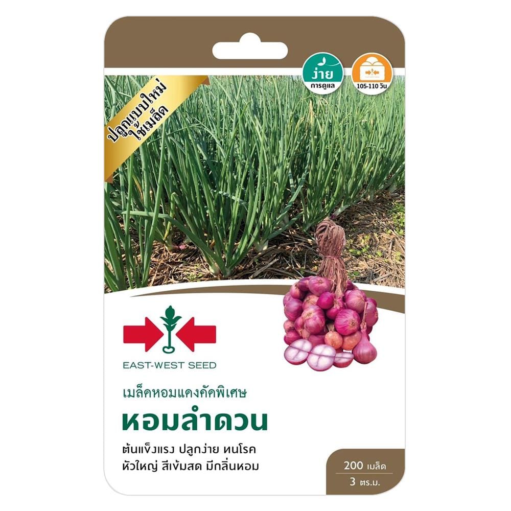 เมล็ดหอมแดง หอมลำดวน ศรแดง