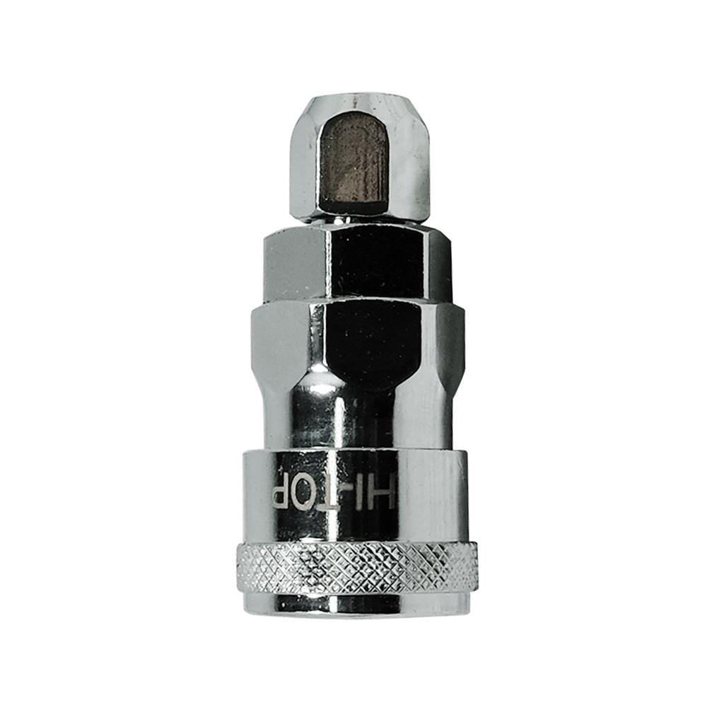 คอปเปอร์ หางสั้น ตัวเมีย HI-TOP SP20