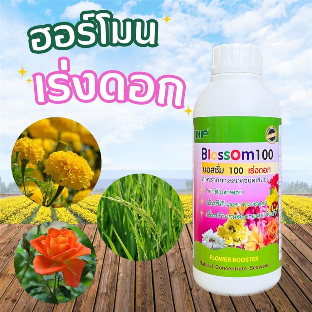 อาหารเสริมพืช เร่งดอก NP Blossom 1 ลิตร