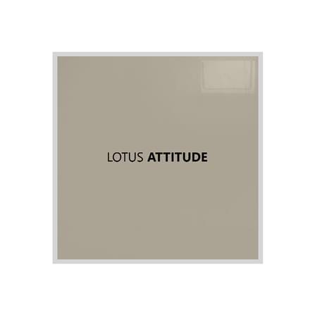 ชุดผ้าปูที่นอน 5 ฟุต 5 ชิ้น LOTUS ATTITUDE NORDEN สี MORGON_4
