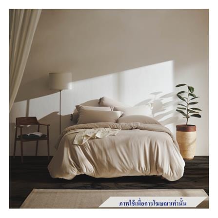 ชุดผ้าปูที่นอน 3.5 ฟุต 3 ชิ้น LOTUS ATTITUDE NORDEN สี MORGON_0