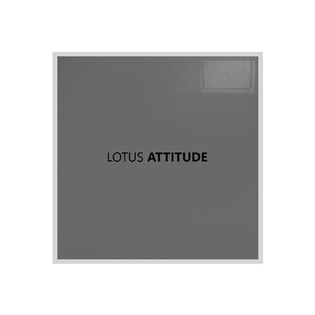 ชุดผ้าปูที่นอน 5 ฟุต 5 ชิ้น LOTUS ATTITUDE NORDEN สี GRA_4