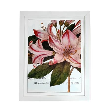 กรอบรูป PTS FLOWER 2 14X18 นิ้ว สีขาว_0