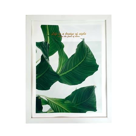 กรอบรูป PTS LEAVES 4 14X18 นิ้ว สีขาว_0
