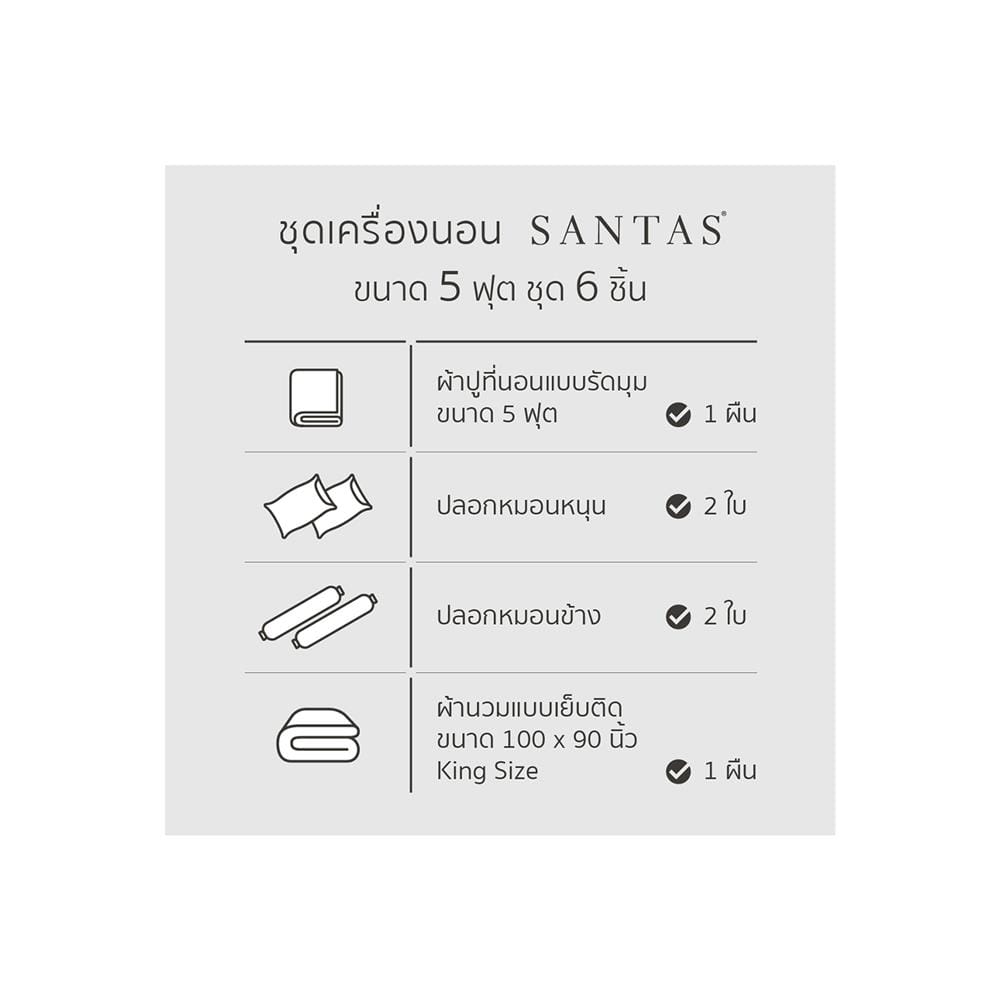 ชุดผ้าปูที่นอน 5 ฟุต 6 ชิ้น SANTAS FELINE BL