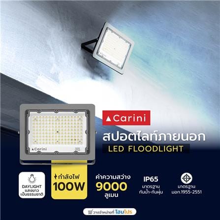 สปอตไลท์ภายนอก LED CARINI NYSP100W 100 วัตต์ DAYLIGHT_4