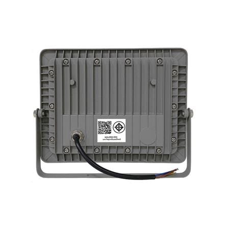 สปอตไลท์ภายนอก LED CARINI NYSP50W 50 วัตต์ DAYLIGHT_2