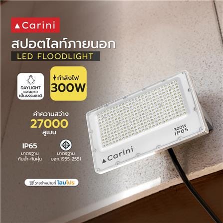 สปอตไลท์ภายนอก LED CARINI NYSP300W 300 วัตต์ DAYLIGHT_6