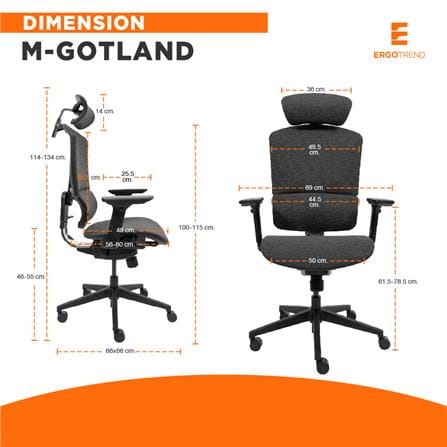 เก้าอี้สุขภาพ ERGOTREND M-GOTLAND สีเทา_4