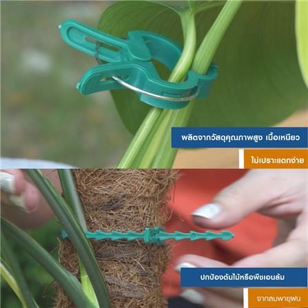 ชุดลวดรัดต้นไม้ SPRING_6