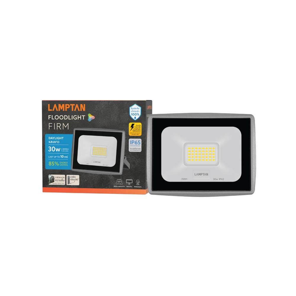 สปอตไลท์ภายนอก LED LAMPTAN FIRM 30 วัตต์ DAYLIGHT