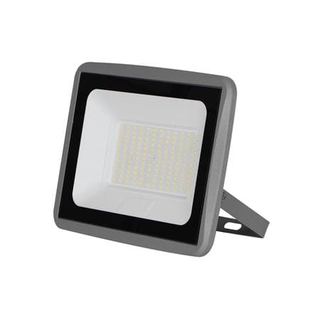 สปอตไลท์ภายนอก LED LAMPTAN FIRM 100 วัตต์ DAYLIGHT_1