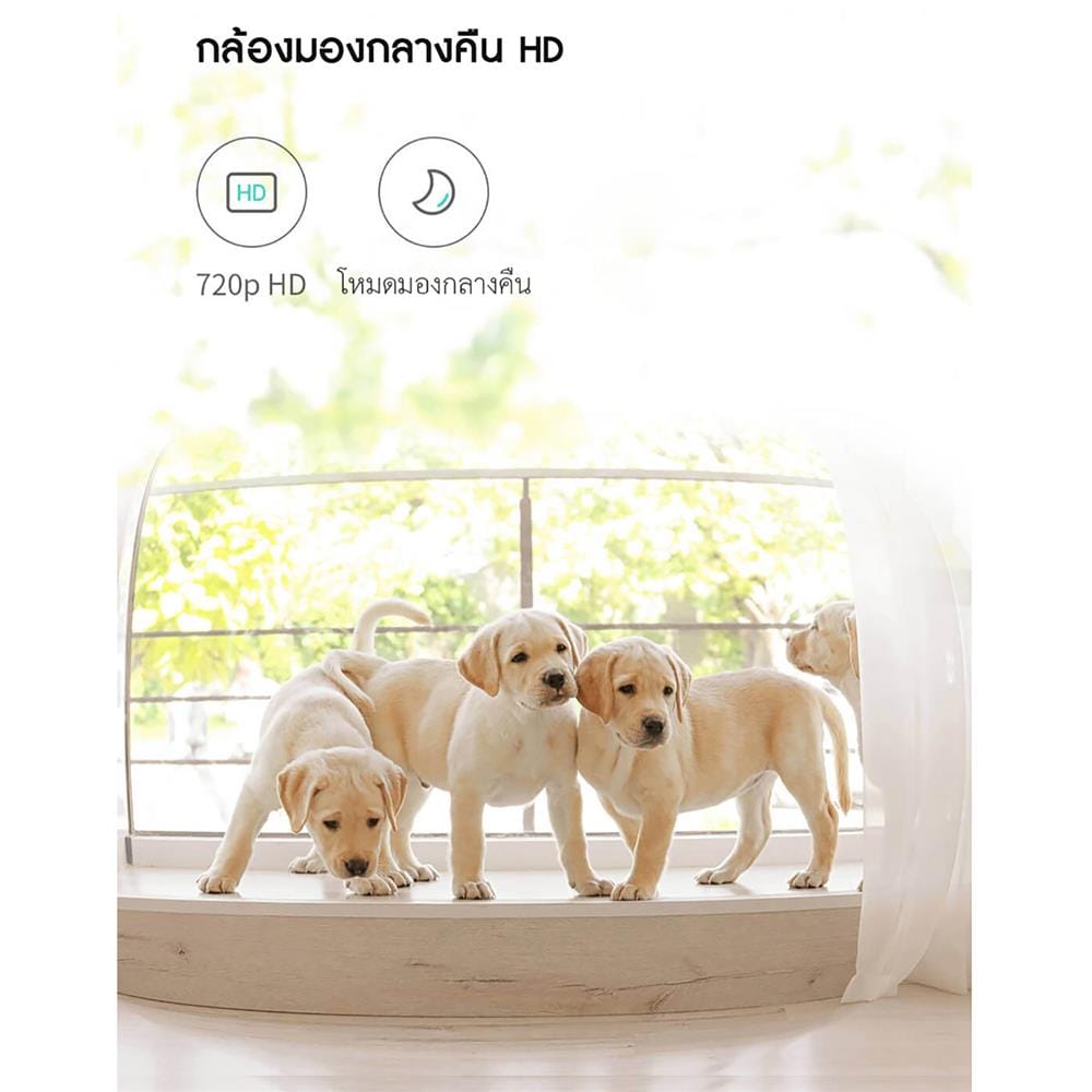 เครื่องให้อาหารสัตว์เลี้ยงอัตโนมัติ PETONEER NUTRI VISION 3.7 ลิตร