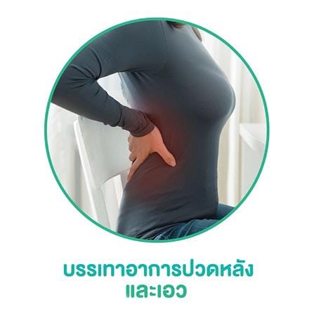 เบาะรองหลังเพื่อสุขภาพ WORKSCAPE WAH-00018 สีชมพู_2
